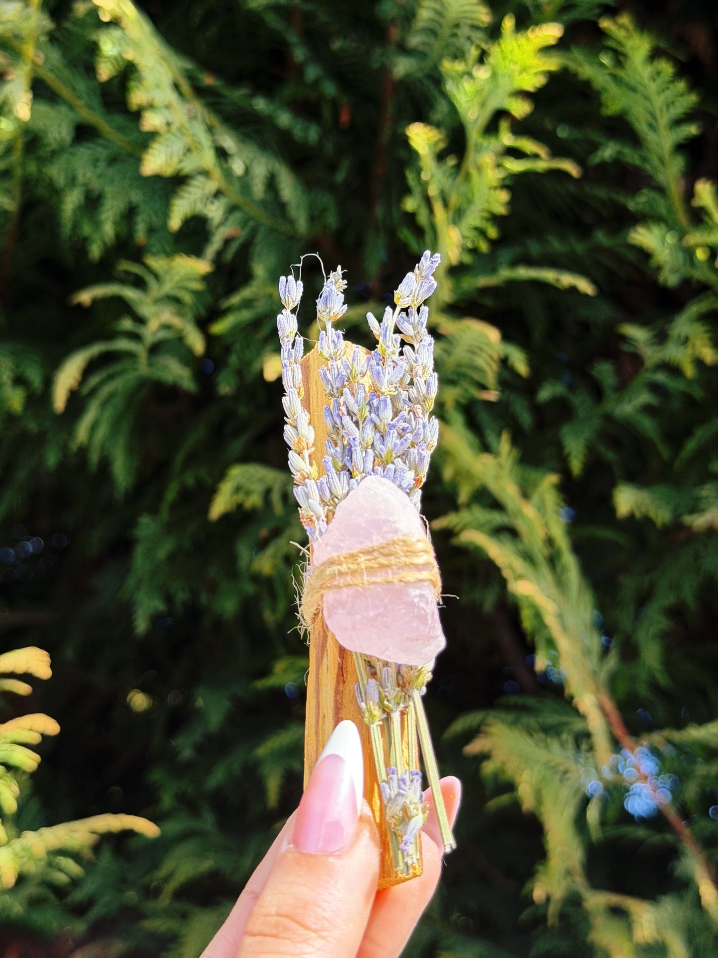 🌿 Palo Santo + Lavender + Rose Quartz