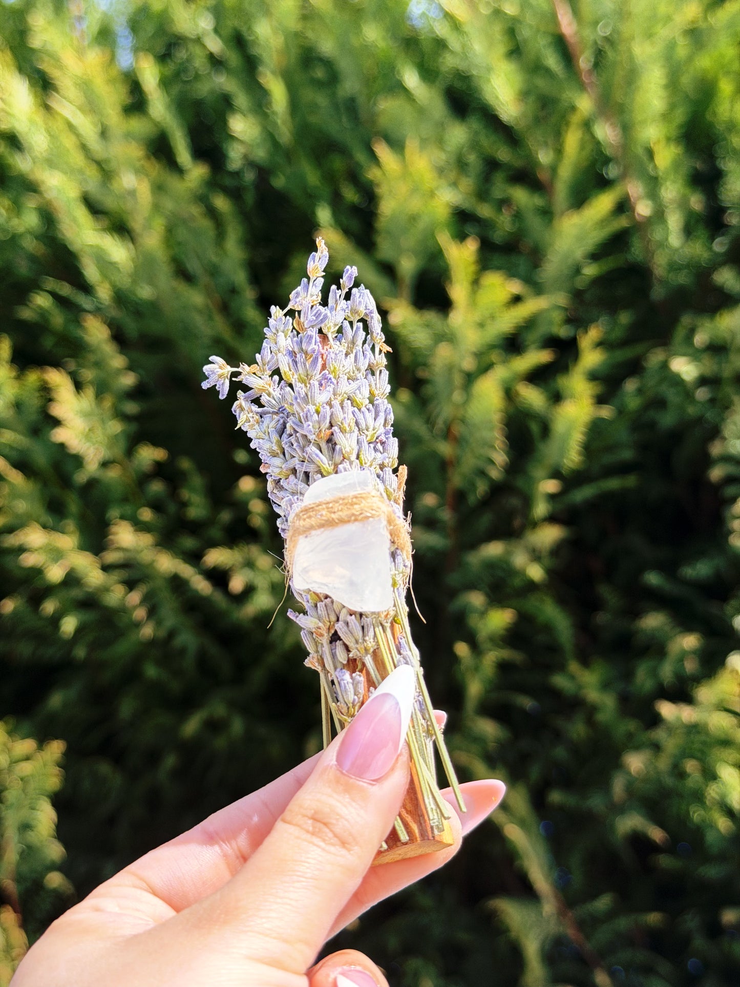 🌿 Palo Santo + Lavender + Clear Quartz