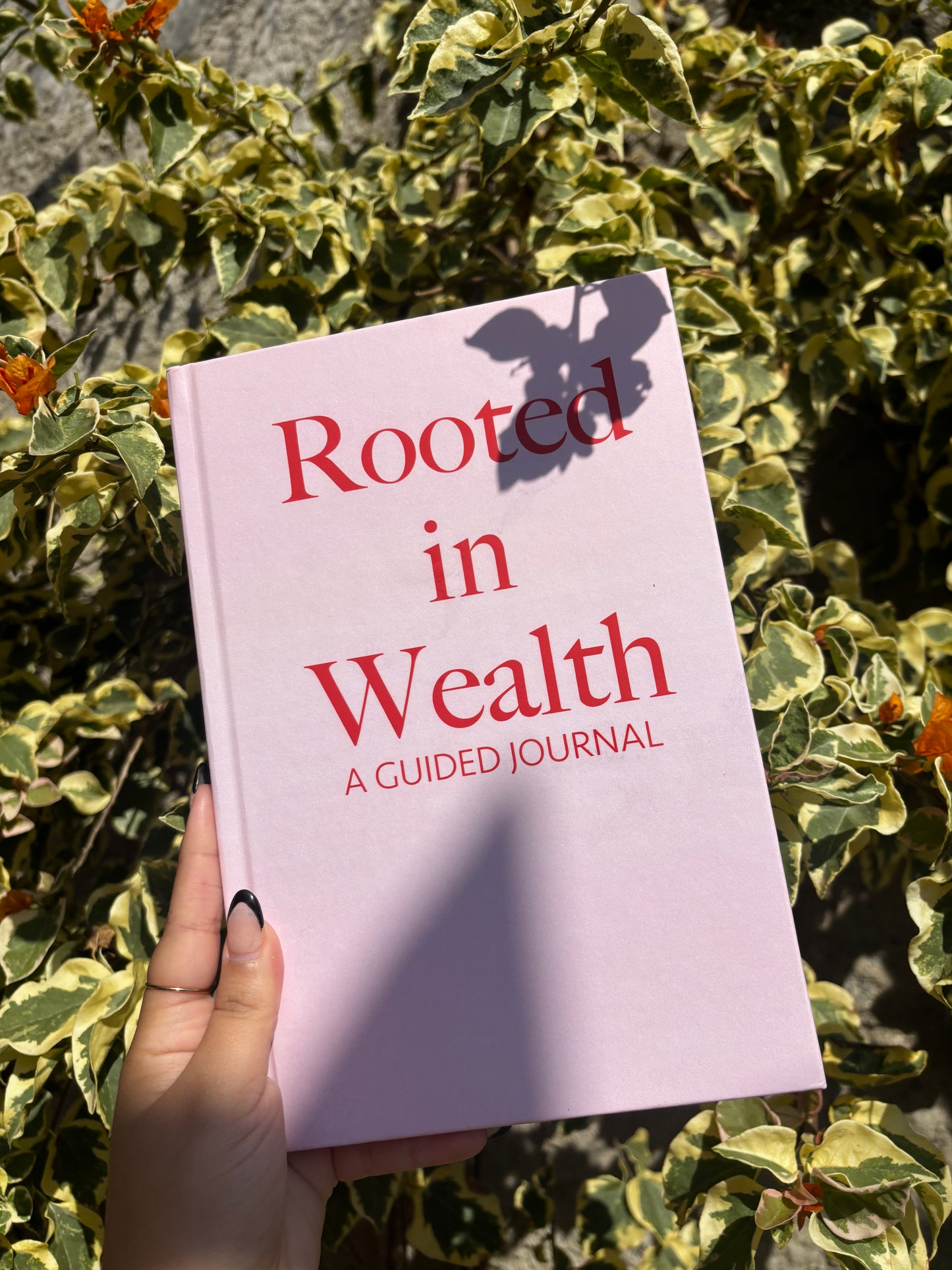 Rooted in Wealth